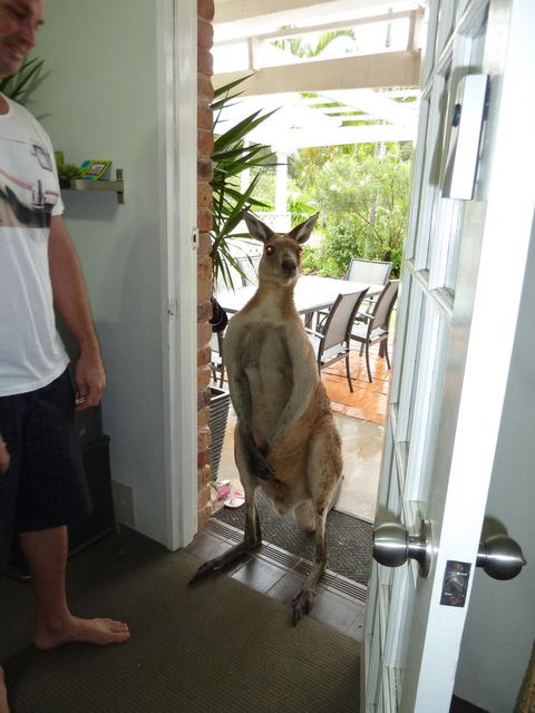 Aston Motel Yamba - Hotel Accommodation 10
