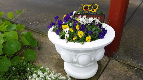 Addies Place Goolwa - Hotel Accommodation 10