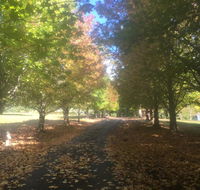 A peaceful cabin in the country - Hotel Accommodation