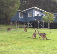 Blue House Denmark - Hotel Accommodation