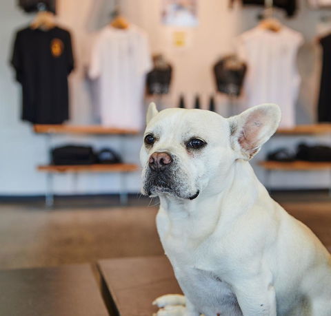 Nomads Byron Bay Backpackers - Hotel Accommodation 24