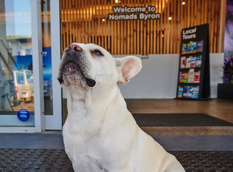 Nomads Byron Bay Backpackers - Hotel Accommodation 22