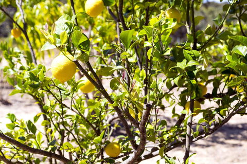 The Heights Bed & Breakfast - Hotel Accommodation 17