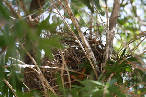 The Heights Bed & Breakfast - Hotel Accommodation 7