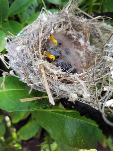 The Heights Bed & Breakfast - Hotel Accommodation 2