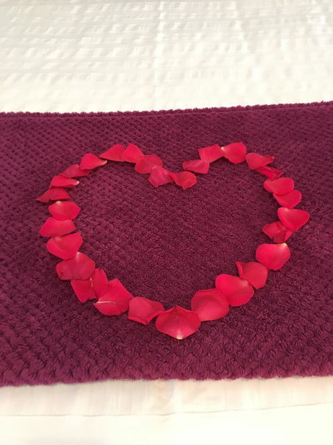 Nelson Bay Bed & Breakfast - Hotel Accommodation 4