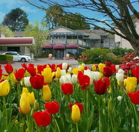 Nesuto Leura Gardens formerly Waldorf Leura Gardens Resort - Hotel Accommodation