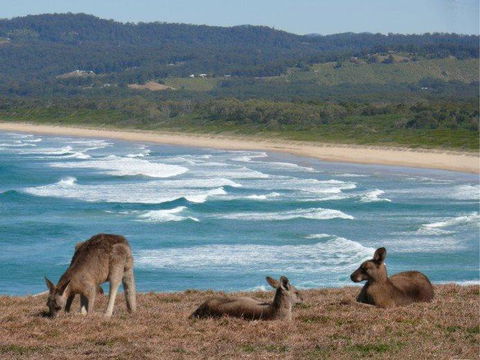 High Tide At Emerald - Hotel Accommodation 13