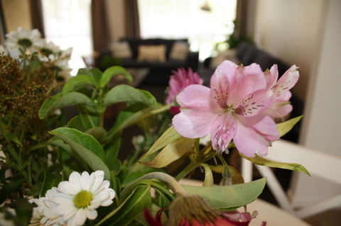 Ocean Breeze At Caba - Hotel Accommodation 11