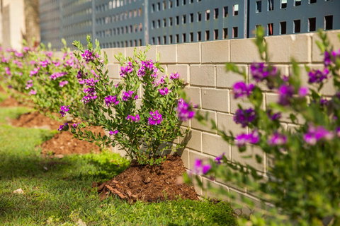 Kempsey Rose Motor Inn - Hotel Accommodation 15