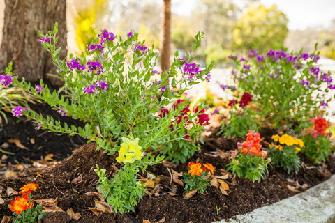 Kempsey Rose Motor Inn - Hotel Accommodation 28