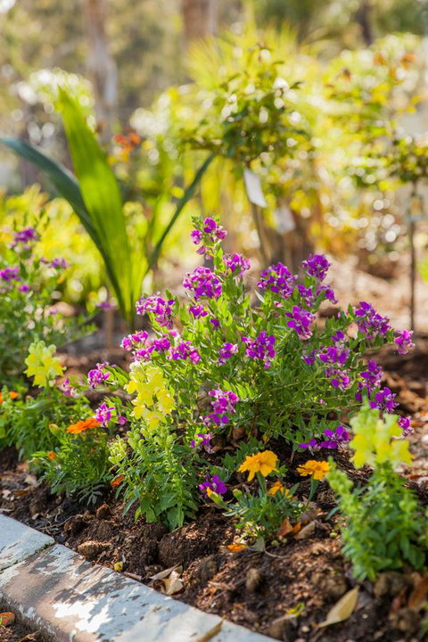 Kempsey Rose Motor Inn - Hotel Accommodation 6