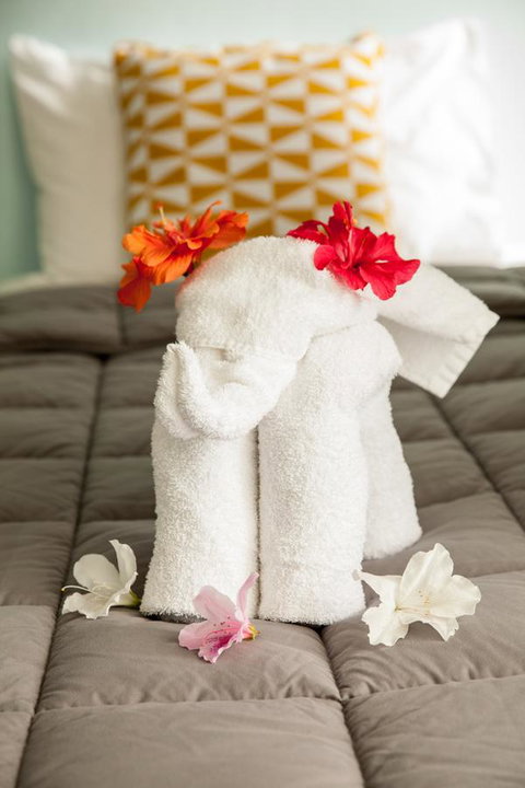 Kempsey Rose Motor Inn - Hotel Accommodation 17