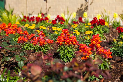 Kempsey Rose Motor Inn - Hotel Accommodation 20