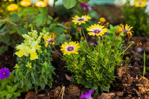 Kempsey Rose Motor Inn - Hotel Accommodation 39