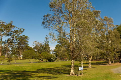 Kempsey Rose Motor Inn - Hotel Accommodation 32