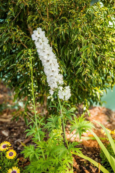 Kempsey Rose Motor Inn - Hotel Accommodation 37