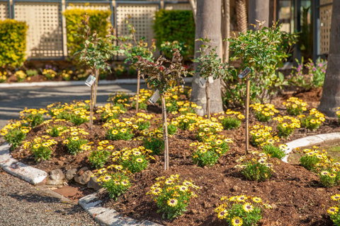 Kempsey Rose Motor Inn - Hotel Accommodation 23