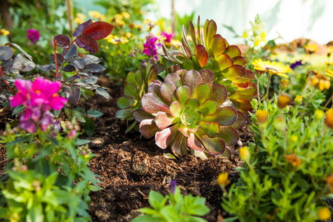 Kempsey Rose Motor Inn - Hotel Accommodation 35