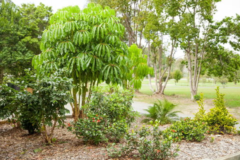 Kempsey Rose Motor Inn - Hotel Accommodation 42