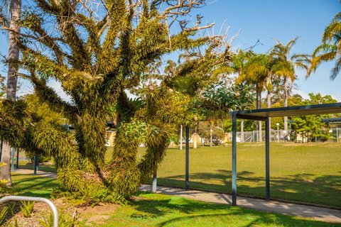 Kempsey Rose Motor Inn - Hotel Accommodation 41