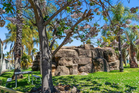 Quality Resort Siesta - Hotel Accommodation 1