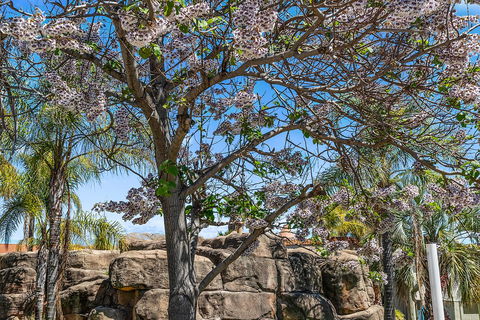 Quality Resort Siesta - Hotel Accommodation 2