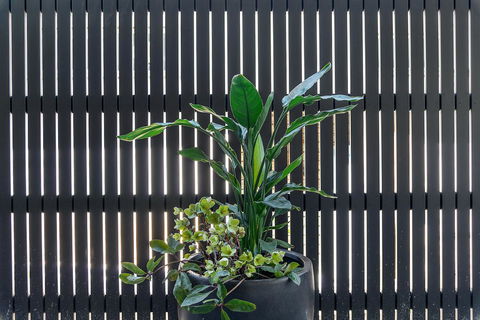 Quality Resort Siesta - Hotel Accommodation 8