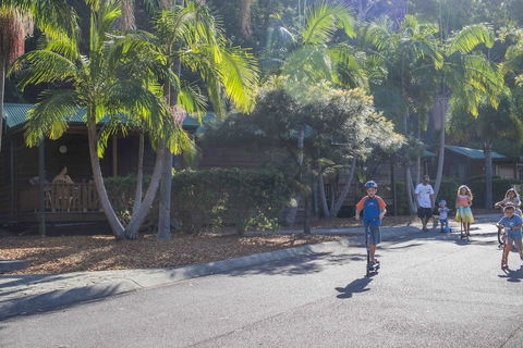 The Palms At Avoca - Hotel Accommodation 14