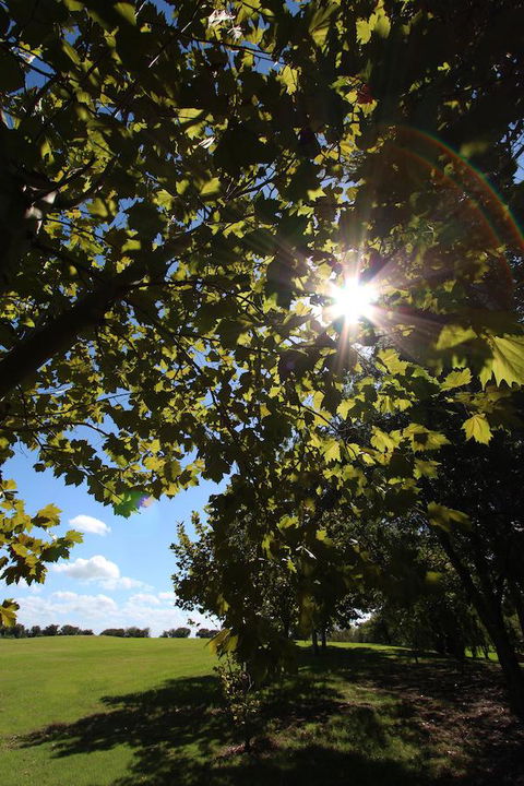 Crowne Plaza Hawkesbury Valley, An IHG Hotel - Hotel Accommodation 43