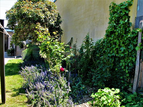 Apple Tree Cottage - Hotel Accommodation 24