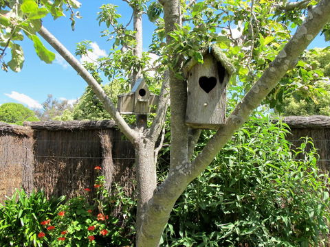 Apple Tree Cottage - Hotel Accommodation 28