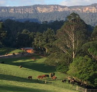 Amaroo Valley Springs - Hotel Accommodation