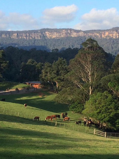 Amaroo Valley Springs - Hotel Accommodation 0