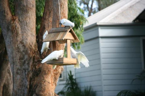 Huskisson Holiday Motel Cabins - Hotel Accommodation 29