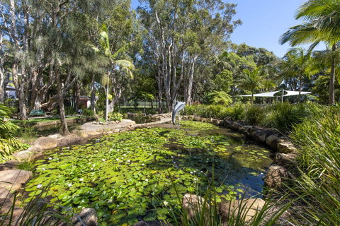 Flynns Beach Resort - Hotel Accommodation 8