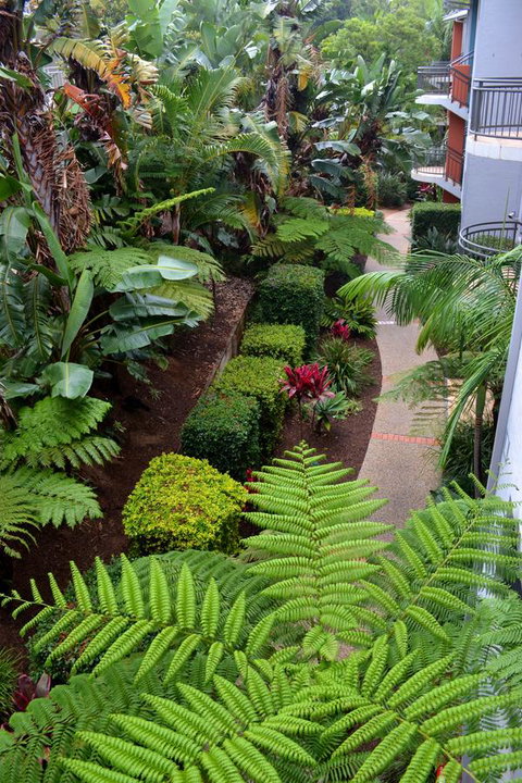 Flynns Beach Resort - Hotel Accommodation 17