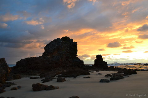 Flynns Beach Resort - Hotel Accommodation 19