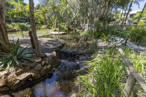 Flynns Beach Resort - Hotel Accommodation 13