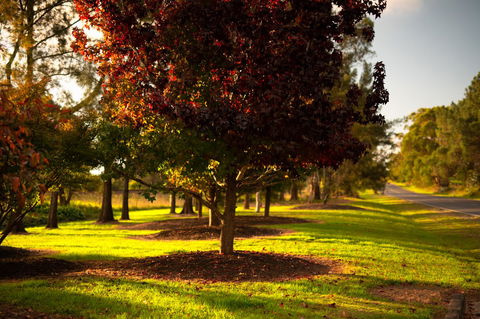Bundanoon Country Inn Motel - Hotel Accommodation 20