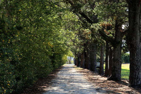 Terara Riverside Retreat - Hotel Accommodation 26