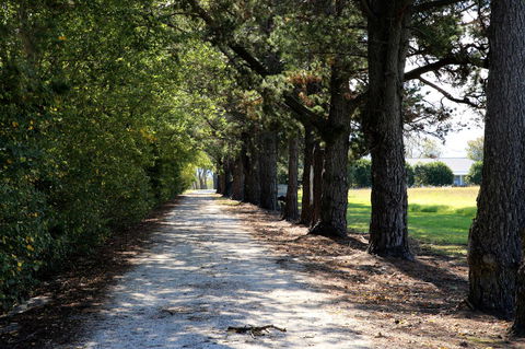 Terara Riverside Retreat - Hotel Accommodation 30