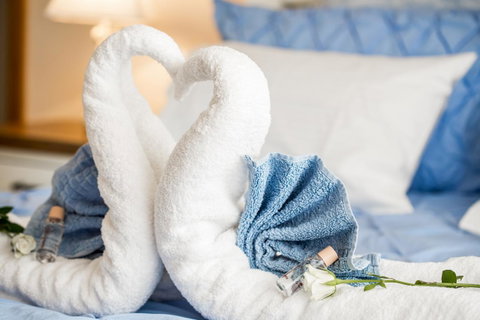 Ambience - Hotel Accommodation 11