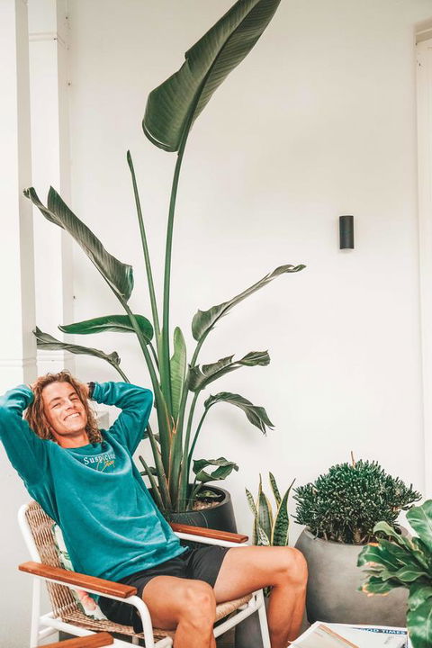 The Baxley Bondi - Hotel Accommodation 42