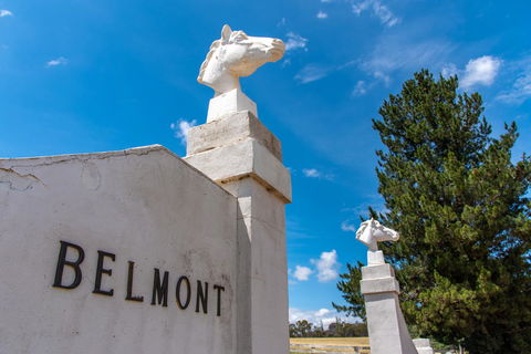 Belmont - Hotel Accommodation 4