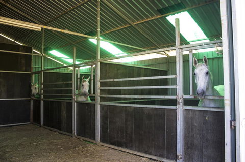 Allonville Gardens Motel - Hotel Accommodation 33