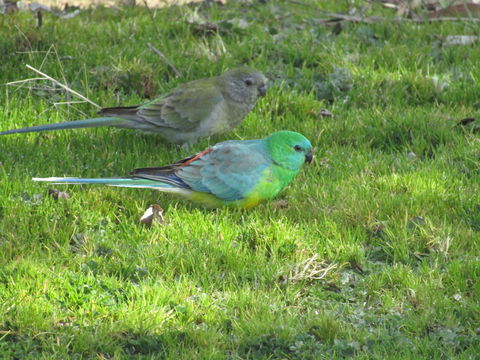 Allonville Gardens Motel - Hotel Accommodation 35