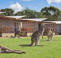 Discovery Parks  Pambula Beach - Hotel Accommodation