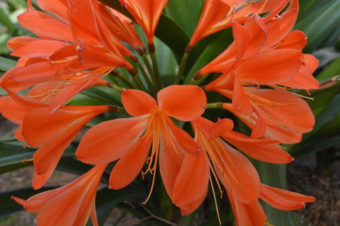 JE Guesthouse, Central To All The Hunter Valley Has To Offer - Hotel Accommodation 39