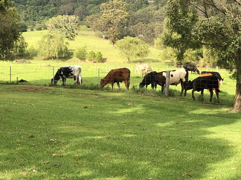 Arcadia - The Barn Cottage & Rosehill Cottage - Hotel Accommodation 26